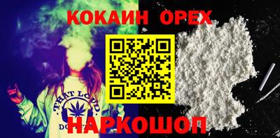 сатива Моздок