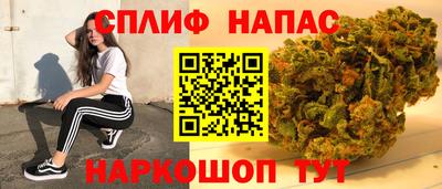 сатива Моздок