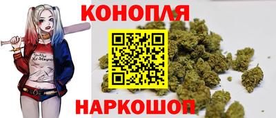 сатива Моздок