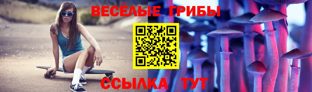 Томск  Галлюциногенные грибы мухоморы  Псилоцибиновые грибы Magic Shrooms  Вход с VPN 